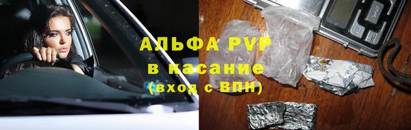 ГАЛЛЮЦИНОГЕННЫЕ ГРИБЫ Абаза