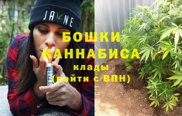 ГАЛЛЮЦИНОГЕННЫЕ ГРИБЫ Абаза