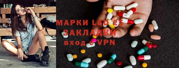 ГАЛЛЮЦИНОГЕННЫЕ ГРИБЫ Абаза