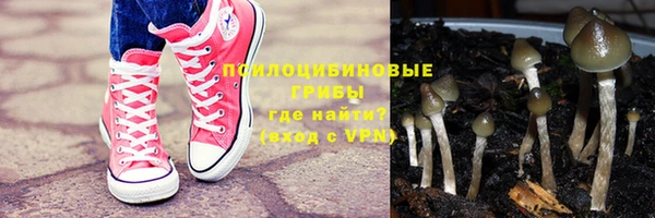ГАЛЛЮЦИНОГЕННЫЕ ГРИБЫ Абаза