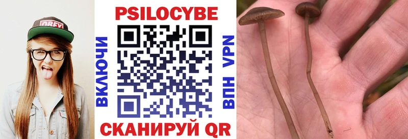 Псилоцибиновые грибы Psilocybine cubensis  МЕГА как войти  Вилюйск 